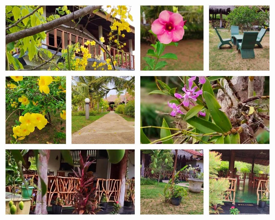 Pearl Cave Cabanas & Resturant Tangalle Exteriér fotografie
